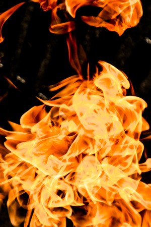 Fire flames on a black background