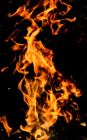 Fire flames on a black background