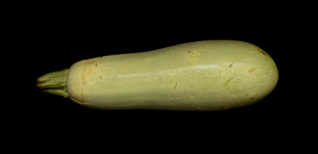 Zucchini isolated on black backgroundの写真素材