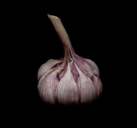 Garlic head isolated on a black backgroundの写真素材