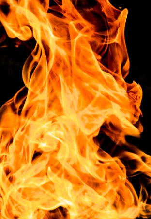 Fire flames on a black background