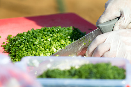 Green onionの写真素材