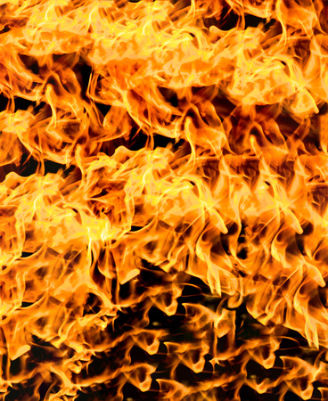 Fire flames on a black backgroundの写真素材