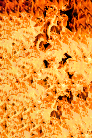 Fire flames on a black backgroundの写真素材