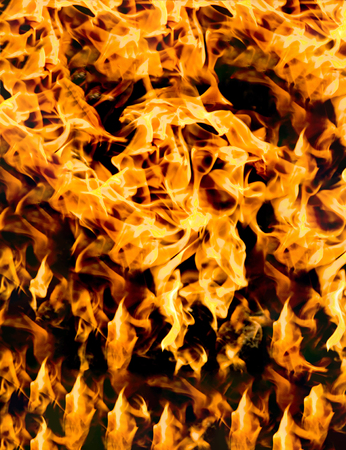 Fire flames on a black backgroundの写真素材