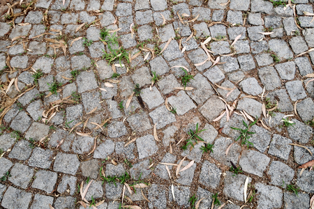 Old stone paving stonesの写真素材