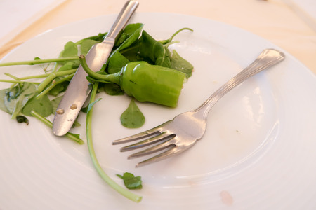 Green salad, meal breakfastの写真素材