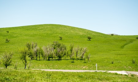 Green hills, springの写真素材