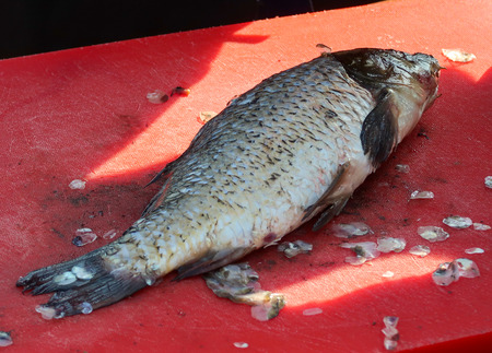 Clean the fish with a knife on the table