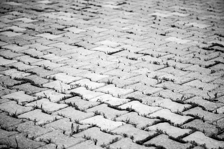 Old paving stones backgroundの写真素材