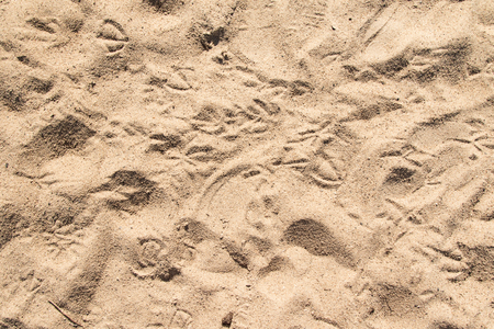 Sand background