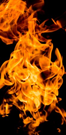 Fire flames on a black background