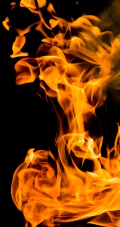 Fire flames on a black background
