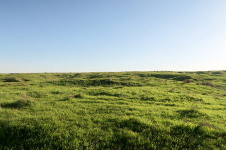landscape, cold with green grass skyの写真素材
