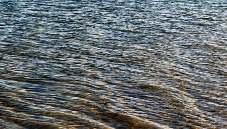clear clear water in a lake with a wave