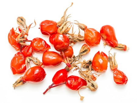 red briar berries on white backgroundの写真素材