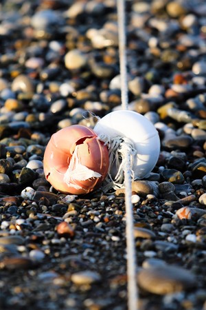 buoys on the water sea beach