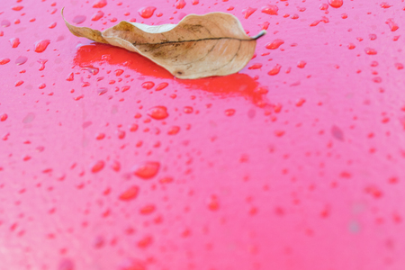 raindrops on a red wallの写真素材