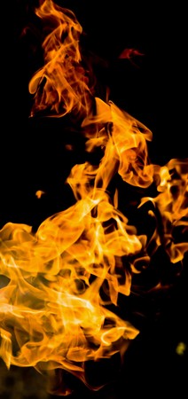 Fire flames on a black background