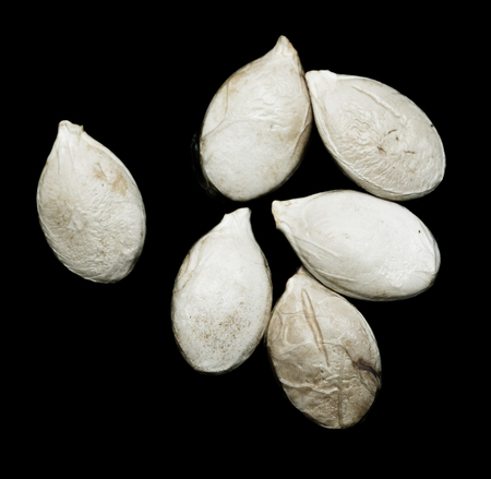 pumpkin seeds on a black background