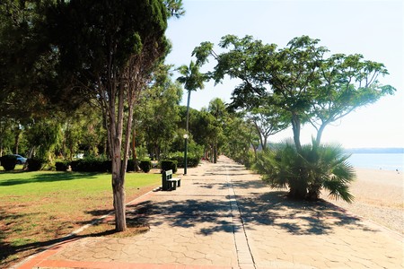 palm trees sea landscape summerの写真素材