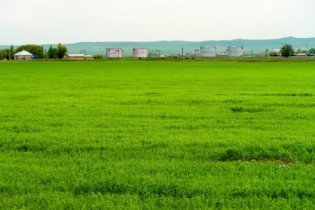 green grass meadow landscapeの写真素材