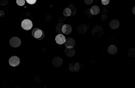 Snowstorm texture. Bokeh lights on black background, shot of flying snowflakes in the airの写真素材