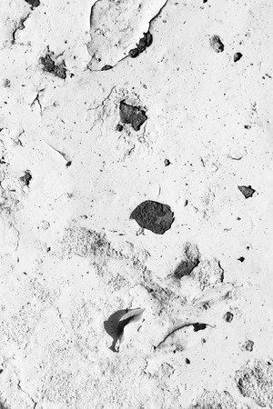 grunge old wall texture backgroundの写真素材