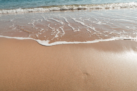 sandy sea beach, landscapeの写真素材