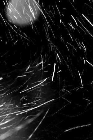 snow blizzard on a black backgroundの写真素材