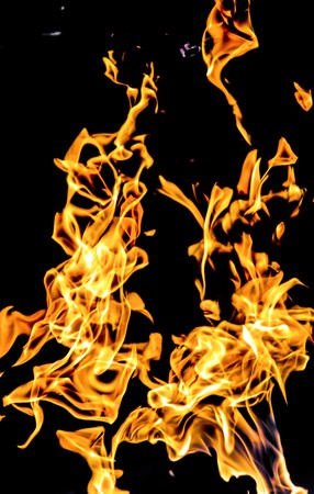 Fire flames on a black background