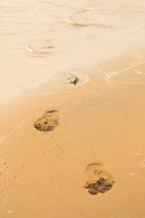 sandy beach, landscapeの写真素材