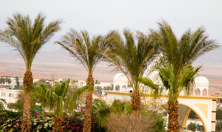 Sharm El Sheikh, Egypt - November 11, 2017: City and beach, Naama 'ama Bay. Sandy beaches and Egyptian architecture.のeditorial素材