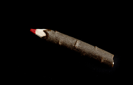pencil from a piece of a branchの写真素材