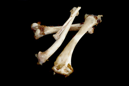 bones on a black backgroundの写真素材