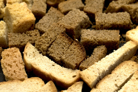 croutons pieces on white background
