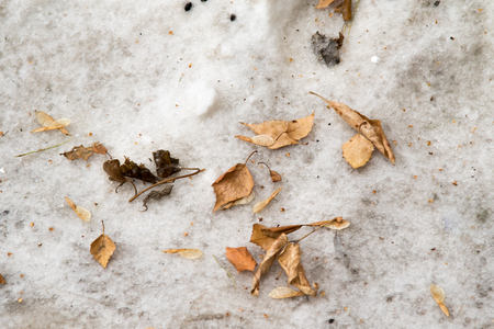 dirty snow as backgroundの写真素材