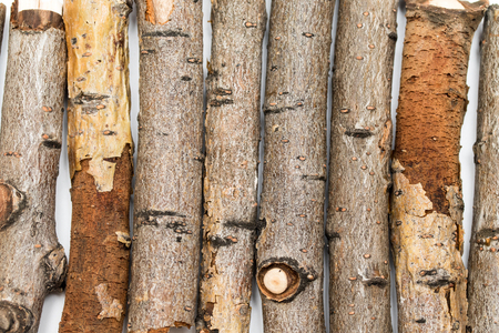 dry branch sticks on a white background