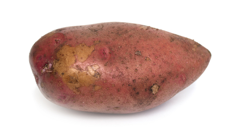 potato tuber on white backgroundの写真素材