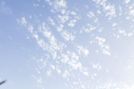 cirrus clouds on a blue sky
