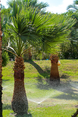 Irrigation System Watering the green grass, blurred backgroundの写真素材