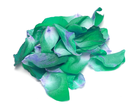 green rose petals on white backgroundの写真素材