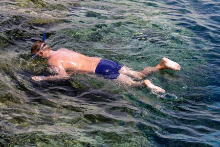 sea people swimming in a mask view from aboveの写真素材