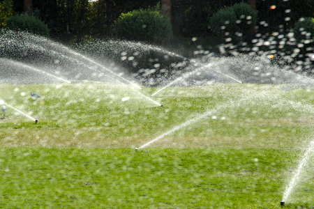 Irrigation System Watering the green grass, blurred backgroundの写真素材