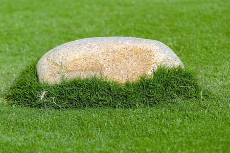 big stone in the green grassの写真素材