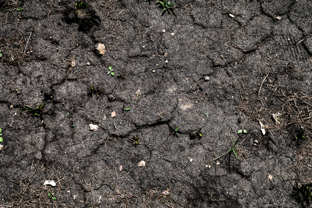 the land in the cracks is dryの写真素材