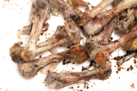 chicken bones on a white background