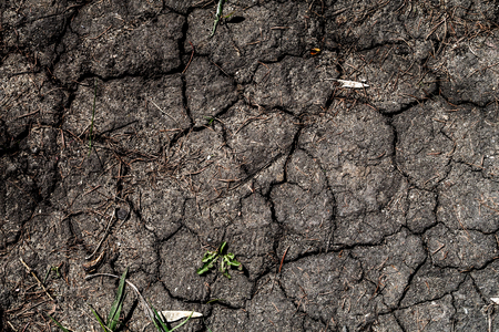 the land in the cracks is dryの写真素材