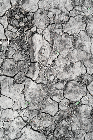 cracked dry earth, abstract backgroundの写真素材
