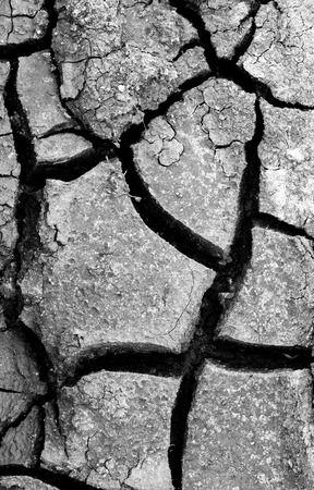 cracked earth background texture